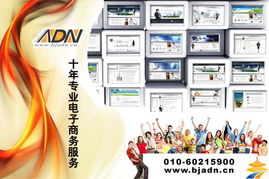 北京专业网站制作公司