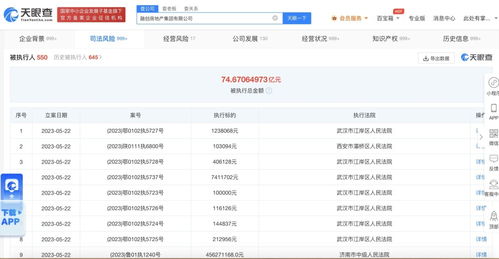 融创房地产公司累计被执行超74亿