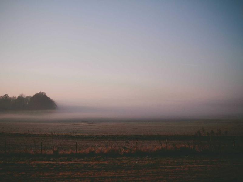 Đình Trọng và Văn Hậu tái xuất: HLV Kim Sang-sik đón tin vui từ hàng thủ tuyển Việt Nam